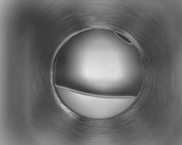 X0000073750955200608031132
