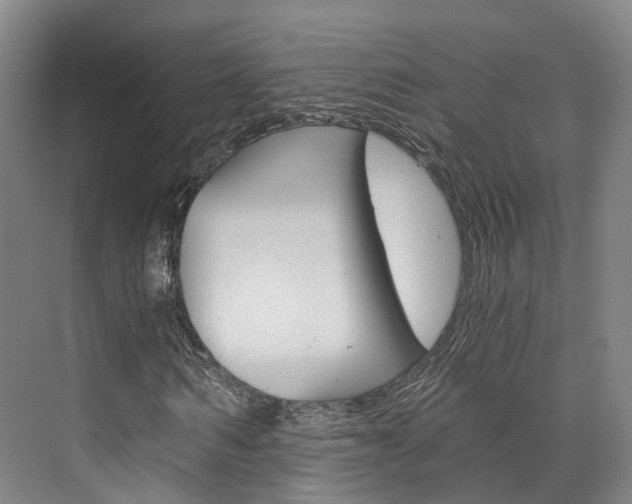 X0000073750962200608031131