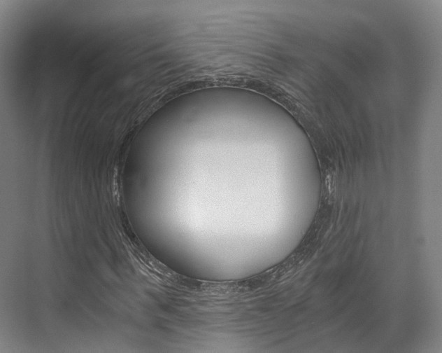 X0000073750963200608031131