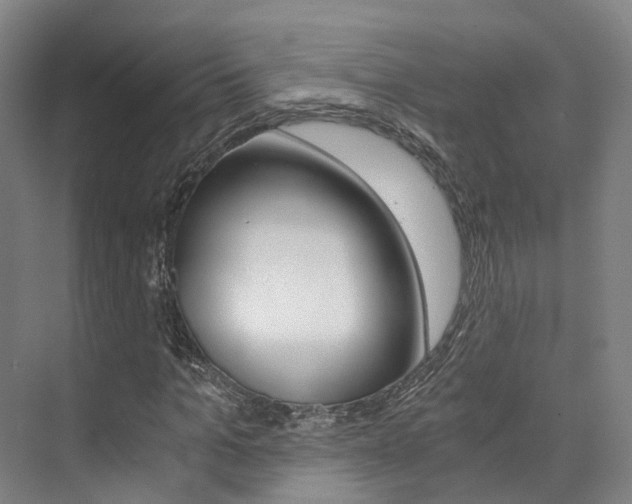 X0000073750965200608031131