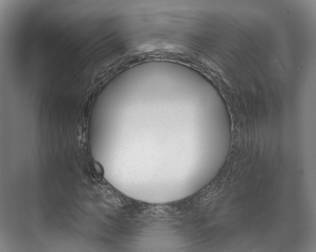 X0000073750966200608031131