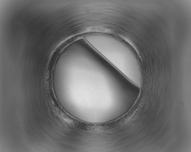 X0000073750971200608031131