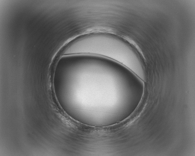 X0000073750973200608031131