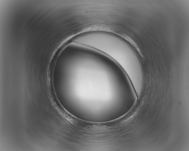 X0000073750981200608031131