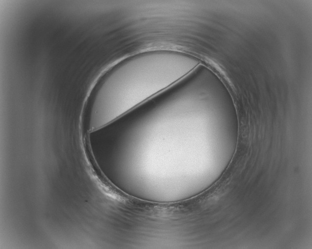 X0000073750987200608031131
