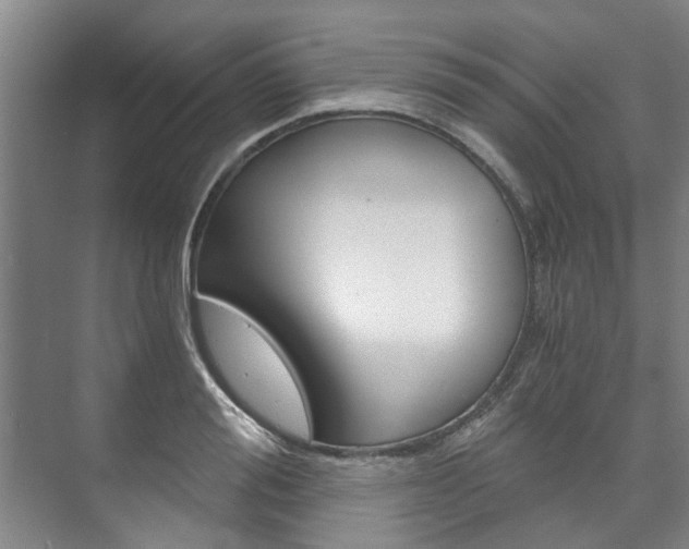 X0000073750988200608031131