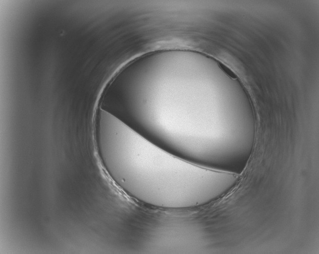 X0000073751008200608031130