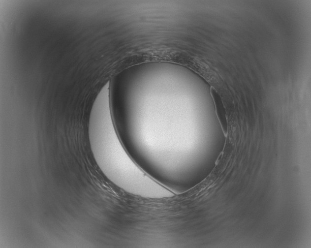 X0000073751010200608031130