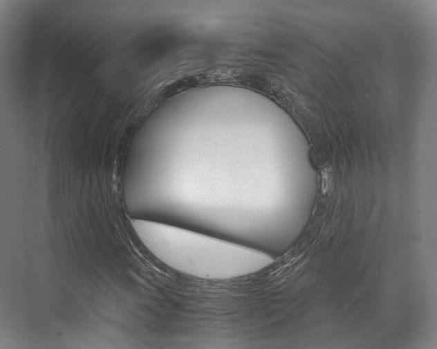 X0000073751011200608031130