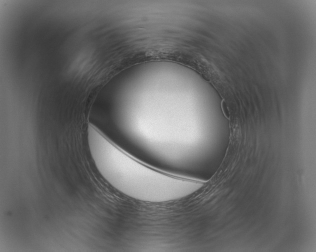X0000073751012200608031130