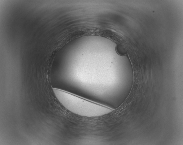 X0000073751013200608031130
