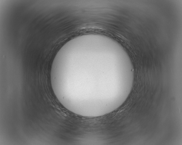 X0000073751014200608031130