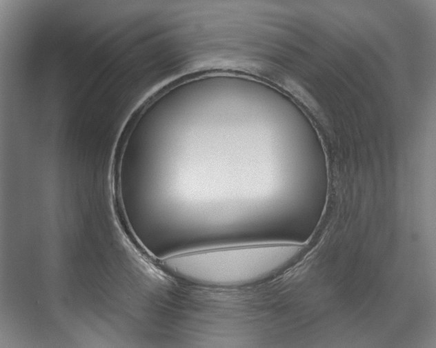 X0000073751028200608031130