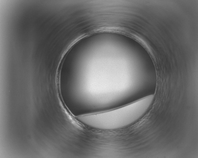 X0000073751050200608031130