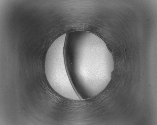 X0000073751058200608031130