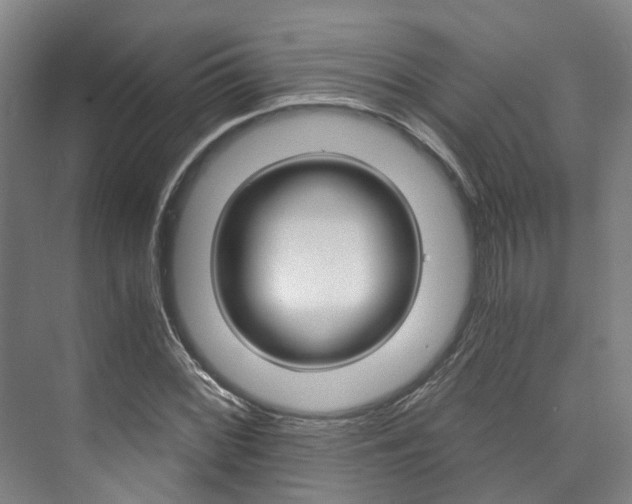 X0000073751068200608031129