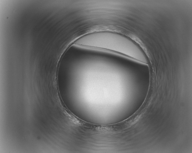 X0000073751089200608031129