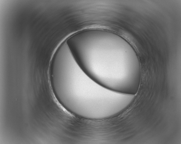 X0000073751092200608031129