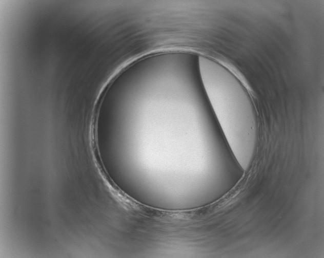 X0000073751101200608031129