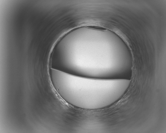 X0000073751104200608031129