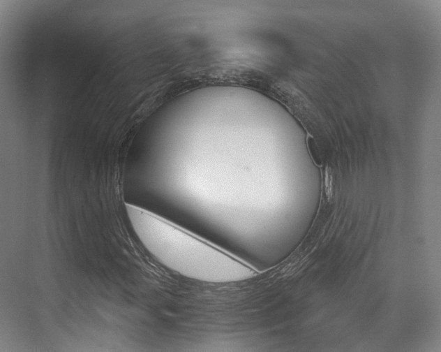 X0000073751107200608031128