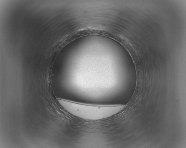 X0000073751110200608031128