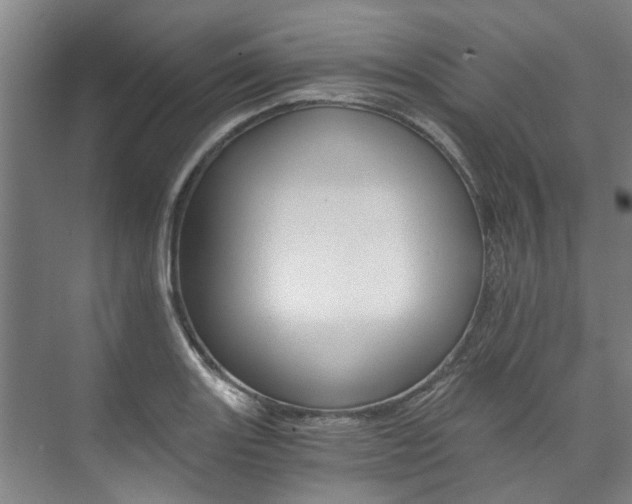 X0000073751131200608031128