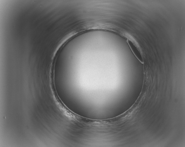 X0000073751138200608031129