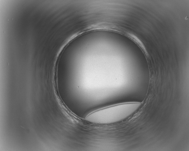 X0000073751146200608031129