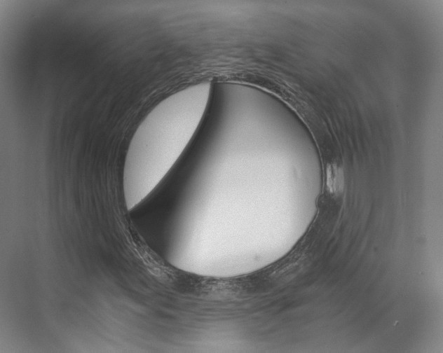 X0000073751155200608031128