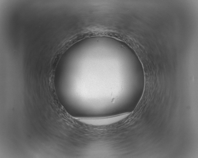 X0000073751157200608031128