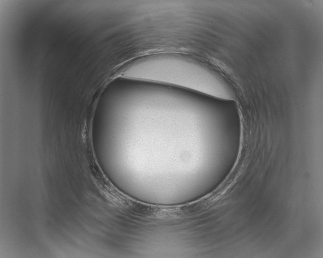 X0000073751161200608031128