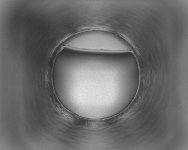 X0000073751163200608031128