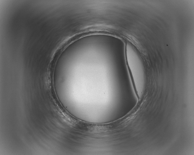 X0000073751164200608031128