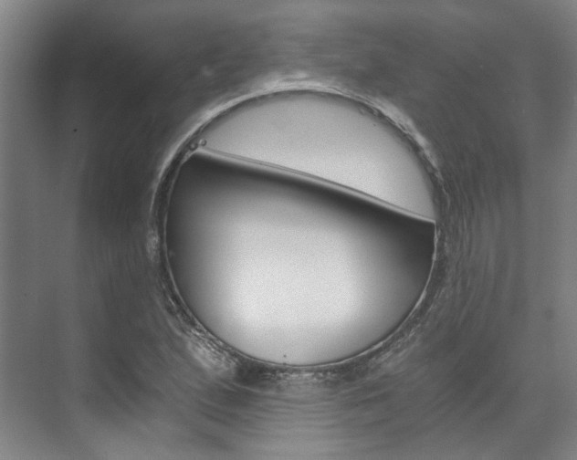 X0000073751167200608031128