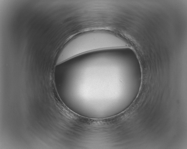 X0000073751169200608031128