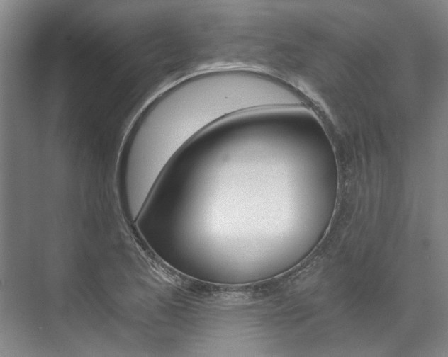 X0000073751173200608031128