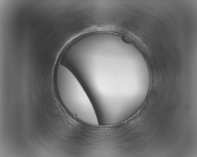 X0000073751174200608031128