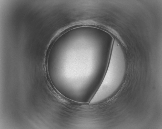 X0000073751176200608031128