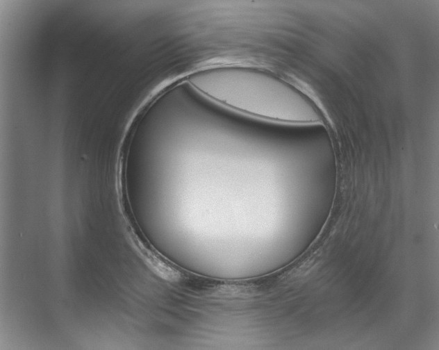 X0000073751179200608031128