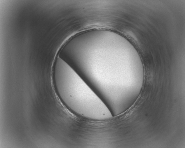 X0000073751182200608031127