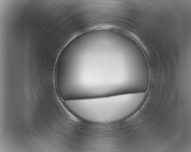 X0000073751186200608031127