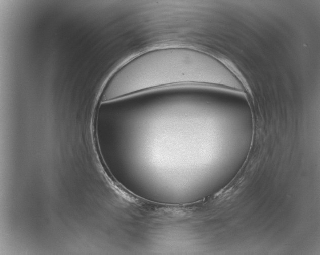 X0000073751197200608031127