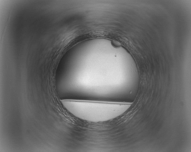 X0000073751201200608031126