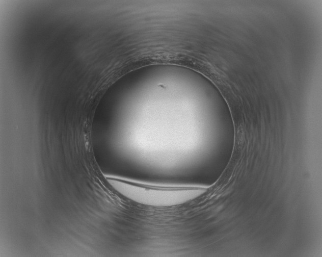 X0000073751202200608031126
