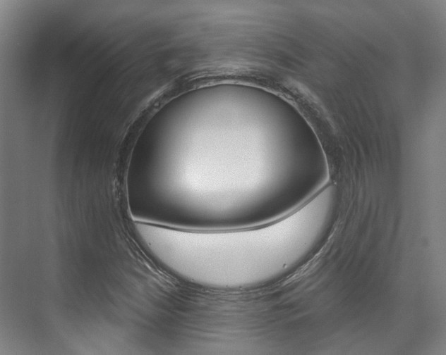 X0000073751210200608031127