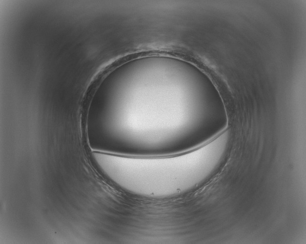 X0000073751214200608031127