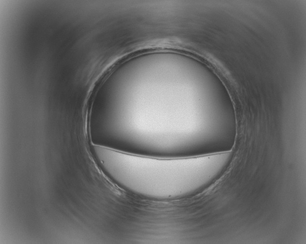 X0000073751224200608031127