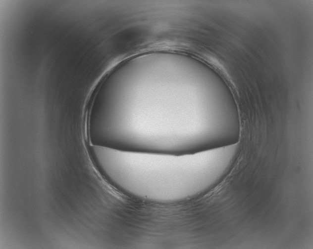 X0000073751227200608031127