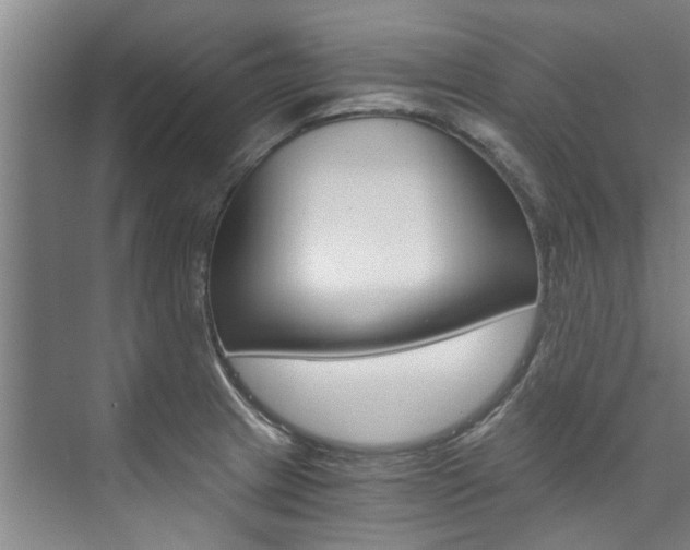 X0000073751233200608031127